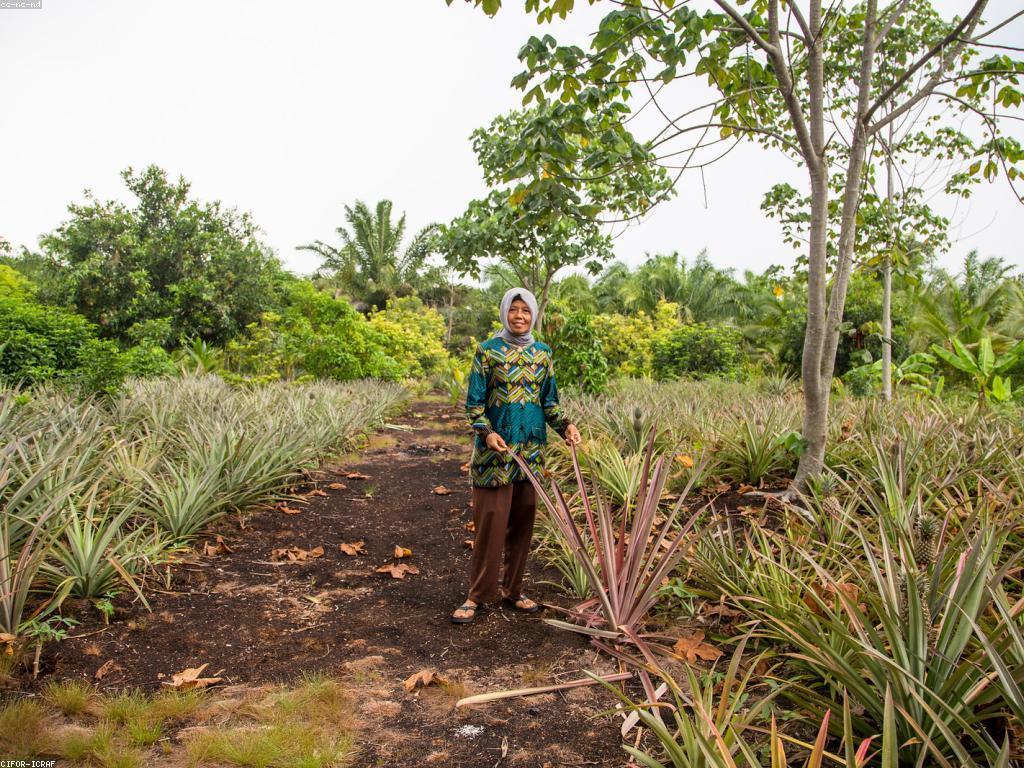 យុទ្ធសាស្រ្តនៃការវិនិយោគនៅក្នុងឆ្នាំ ២០២៣