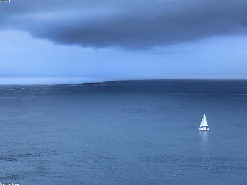 និន្នាការថ្មីក្នុងឱកាសទិញ